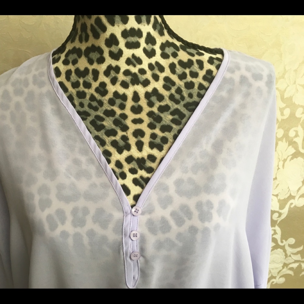 Sheer Blouse - image 2